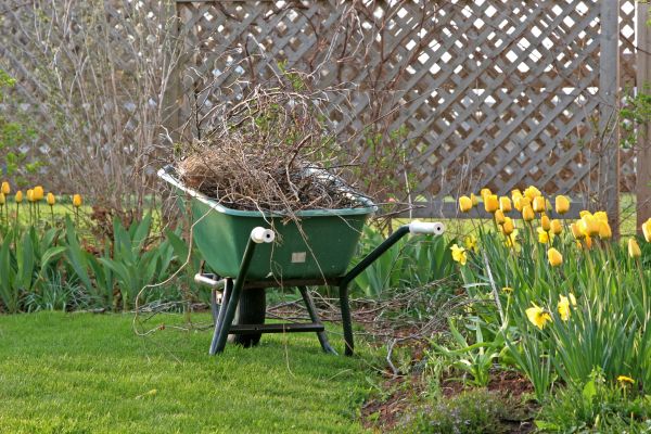 Flower Bed Cleanup Service in Owensboro