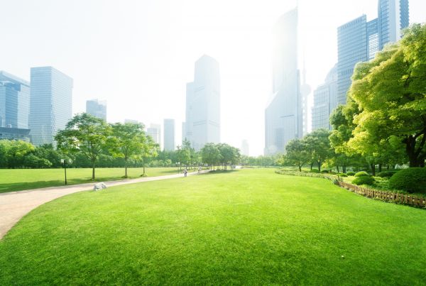 Commercial Landscape Maintenance in Owensboro