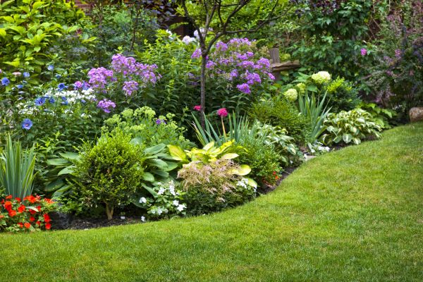 Flower Bed Service in Owensboro
