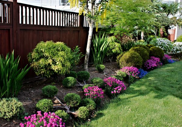 Garden Care Service in Owensboro