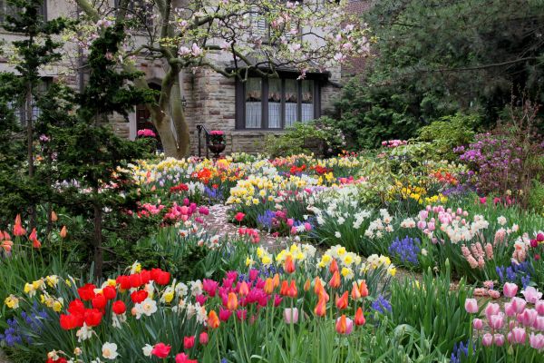 Garden Maintenance Service in Owensboro