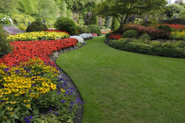 Landscaping Maintenance in Owensboro