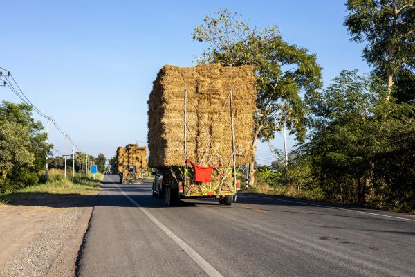 Pine Straw Delivery in Owensboro