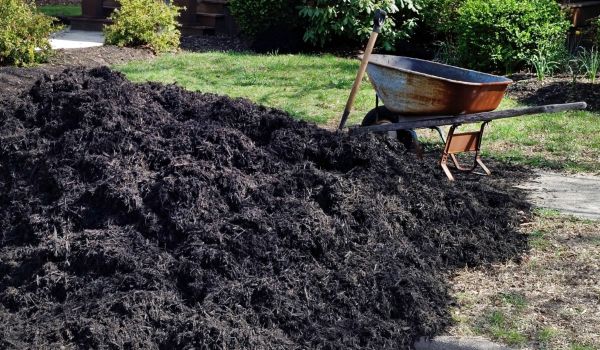 Black Mulch Delivery in Owensboro