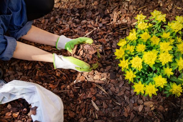 Garden Mulching in Owensboro