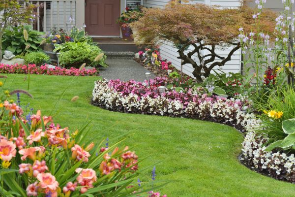 Perennial Landscaping in Owensboro