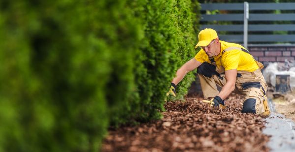 Cypress Mulch Installation in Owensboro