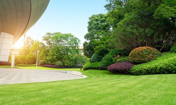 Business Landscape Design in Owensboro