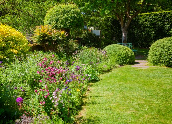 Yard Landscaping Service in Owensboro