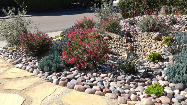Xeriscape Landscaping in Owensboro