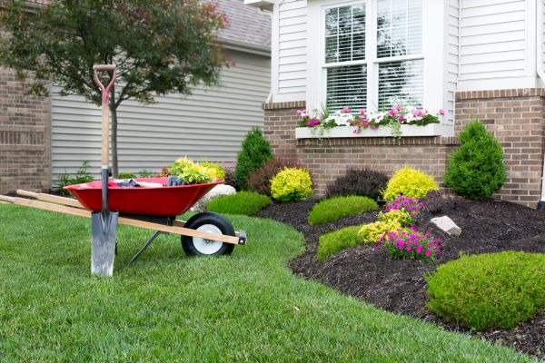 Tree And Shrub Planting in Owensboro