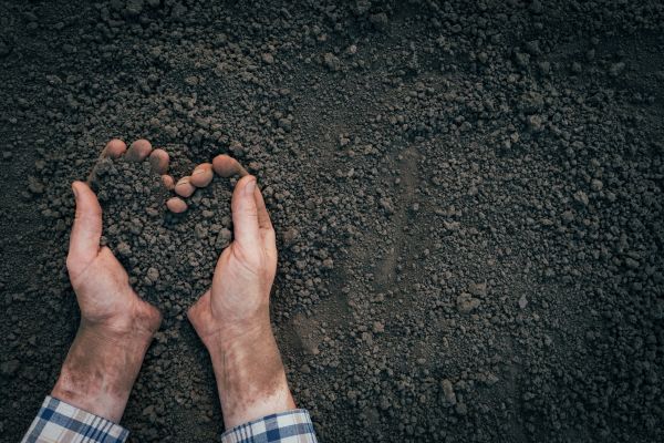 Soil Installation in Owensboro