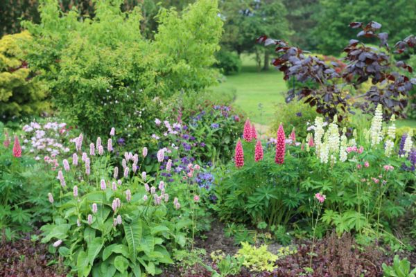 Flower Bed Planting in Owensboro