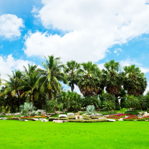 Tropical Landscaping in Owensboro