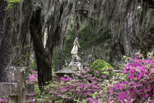 Cemetery Landscaping in Owensboro