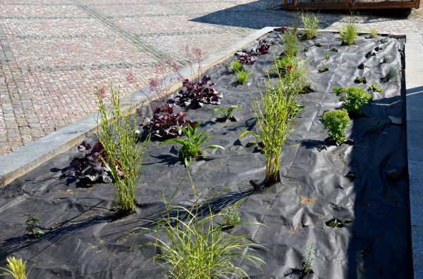 Landscape Fabric Installation in Owensboro