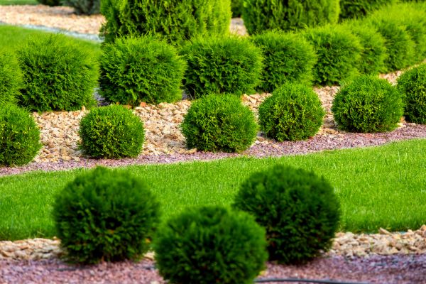 Bush Installation in Owensboro