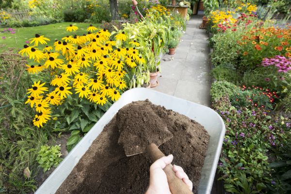 Topsoil Replacement in Owensboro
