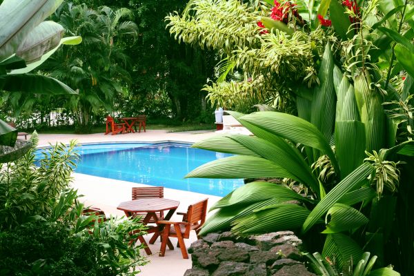 Pool Area Landscaping in Owensboro