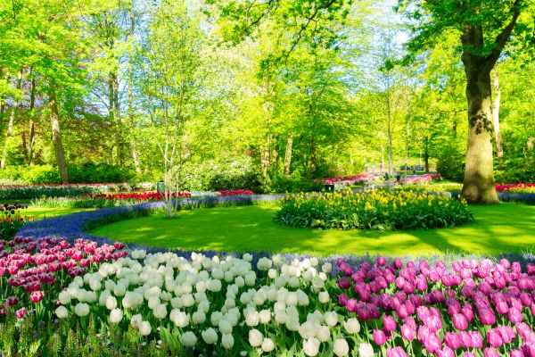 Flower Landscaping in Owensboro