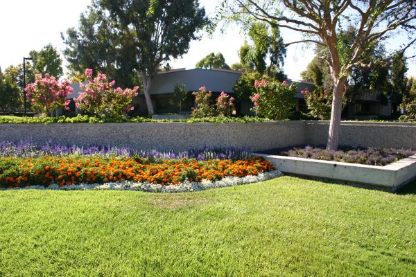 Commercial Landscape Service in Owensboro