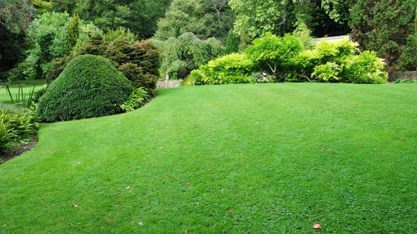 Commercial Landscape Design in Owensboro