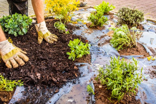 Mulch Fabric Installation in Owensboro