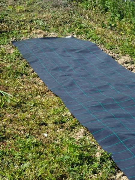 Weed Suppressant Installation in Owensboro