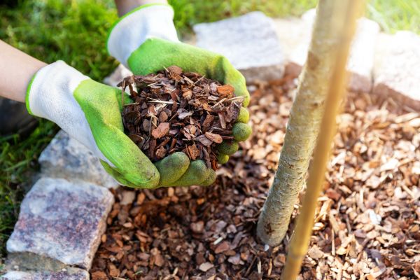 Tree Bark Delivery in Owensboro