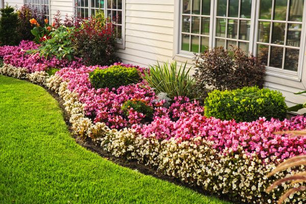 Garden Landscape Design in Owensboro