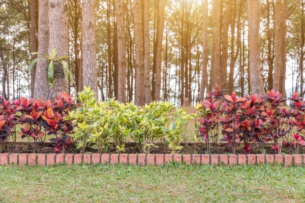 Small Garden Landscaping in Owensboro