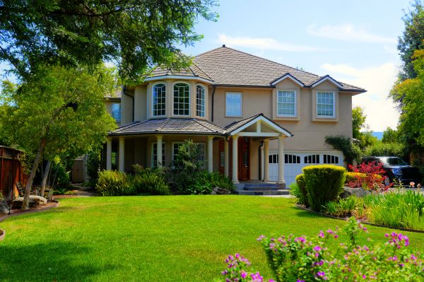 Large Yard Landscaping in Owensboro
