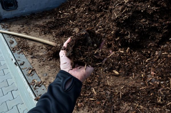 Condo Mulching in Owensboro