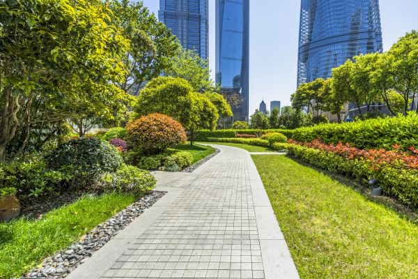 Commercial Landscaping in Owensboro