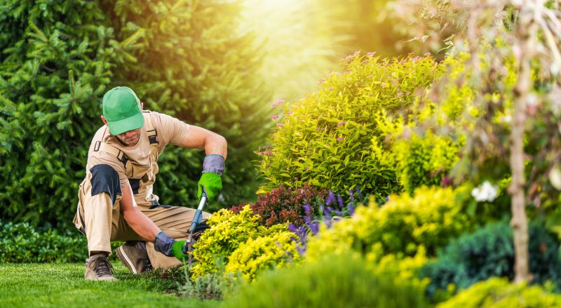 Garden Handyman Service