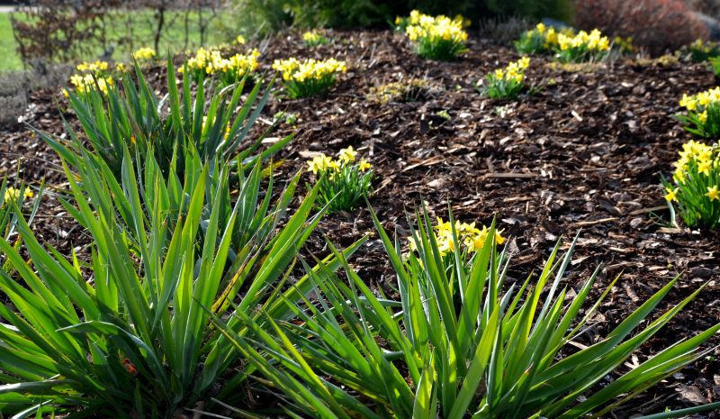 Mulch Installation